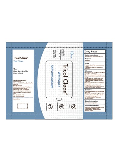 10pcs Wet Wipes